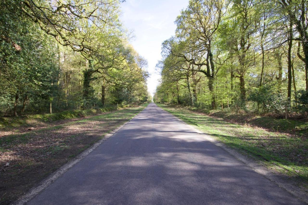 Avondale New Forest Godshill  المظهر الخارجي الصورة