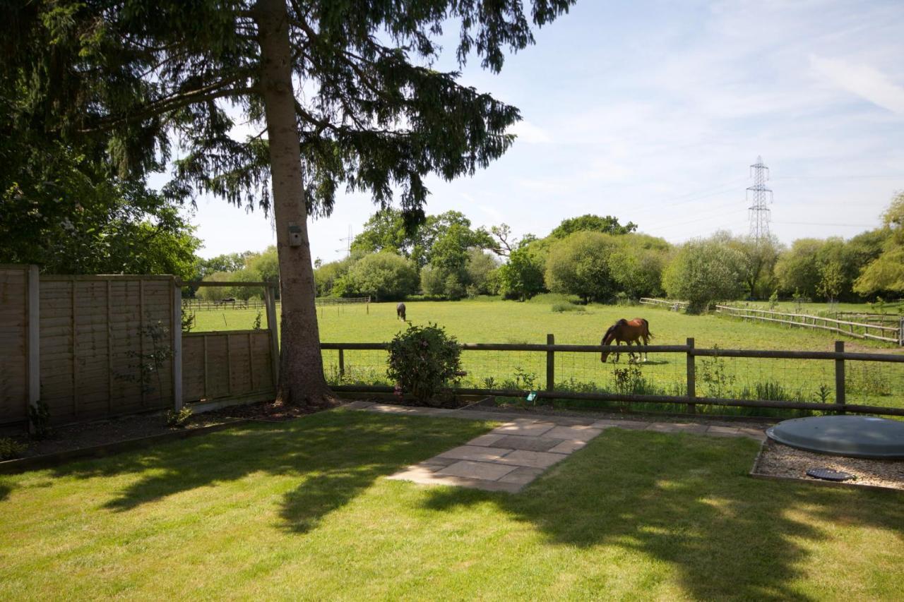 Avondale New Forest Godshill  المظهر الخارجي الصورة