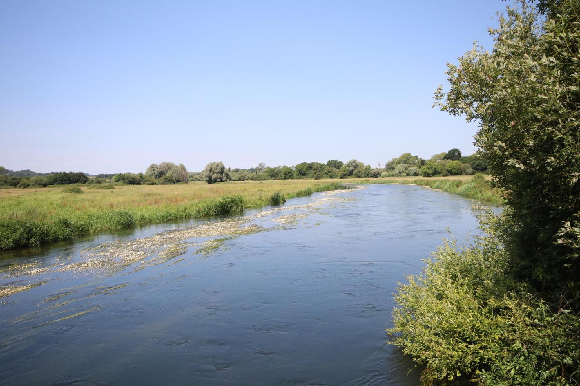 Avondale New Forest Godshill  المظهر الخارجي الصورة