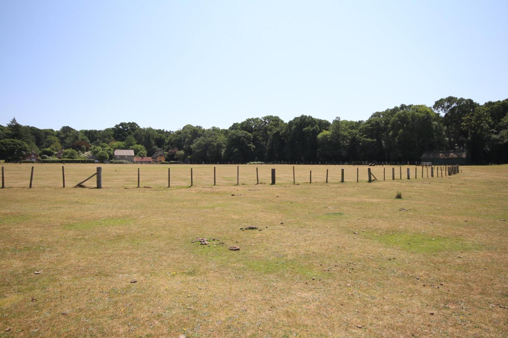 Avondale New Forest Godshill  المظهر الخارجي الصورة